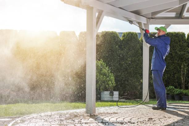 Pre-Holiday Cleaning in Nipomo, CA