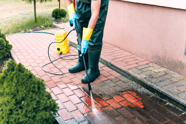 Animal Enclosure Cleaning in Nipomo, CA